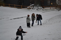 DSC_0114__Medium_